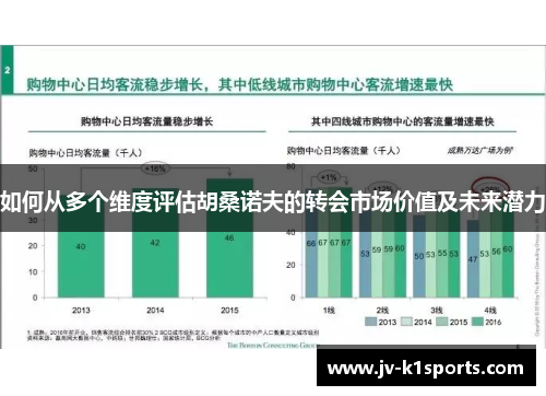 如何从多个维度评估胡桑诺夫的转会市场价值及未来潜力
