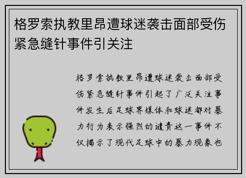 格罗索执教里昂遭球迷袭击面部受伤紧急缝针事件引关注
